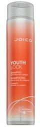 Joico Youth Lock Shampoo sampon revigorant pentru strălucirea părului 300 ml