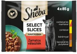 Sheba tasakos eledel, vegyes válogatás mártásban, felnőtt macskák számára, 4 x 85 g - emag - 1 559 Ft
