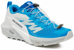 Salomon Pantofi pentru alergare Salomon Sense Ride 5 L47311800 Albastru Bărbați