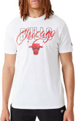 New Era Chicago Bulls Script Tee White 2XL (NECBSTW-2XL)