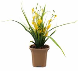 Ella Home Aranjament Cu Flori Artificiale, Spring, Galben, 42cm ComfortTravel Luggage (2352)