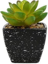 Ella Home Planta Suculenta Artificiala, Verde, Plastic, 9Cm ComfortTravel Luggage (2101)