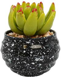 Ella Home Vas Rotund Cu Planta Suculenta, Verde, Plastic, 8Cm ComfortTravel Luggage (2104)
