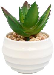 Ella Home Planta Suculenta Artificiala, Verde, Plastic, 9Cm ComfortTravel Luggage (2095)