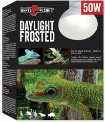 Repti Planet Planet Frosted Daylight 50W