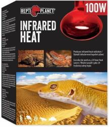 Repti Planet Infrared Heat 100W