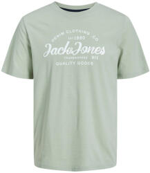 JACK & JONES Férfi póló JJFOREST Standard Fit 12247972 Desert Sage XXL