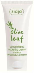 Ziaja Koncentrált tápláló krém SPF 20 Olive Leaf 50 ml - vivantis