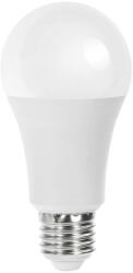 Aigostar B. V. LED Izzó A60 E27/21W/230V 3000K - Aigostar AI0776 (AI0776)