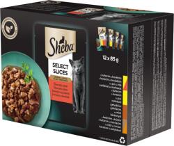 Sheba Select Slices Zamatos választék teljes értékű nedves eledel felnőtt macskáknak 12 x 85 g