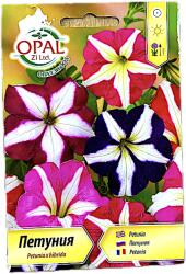 Opal Zi Seminte flori Petunia Stelata Star Mix 0, 2 gr, OpalZi Bulgaria (2789-3800216420473)