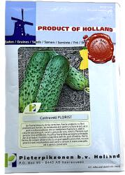 Holland Farming Seminte castraveti Florist 10 gr, Holland (2946-6426985096595)