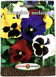 Prima Sementi Seminte flori Panselute Melanj, 0, 2 gr, Prima Sementi (2816-8012214201779)