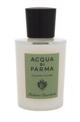 Acqua Di Parma Colonia Futura balsam după ras 100 ml pentru bărbați