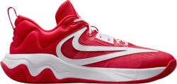 Nike GIANNIS IMMORTALITY 3 ASW Kosárlabda cipő fv4057-600 Méret 45, 5 EU (fv4057-600)