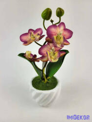  Cserepes gumi orchidea 22 cm - Mályvás