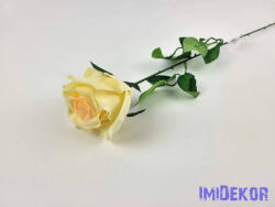 Szálas rózsa 61 cm - Vajas Barack