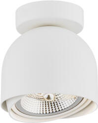 Argon Garland lampă de tavan 1x12 W alb 4710BZ