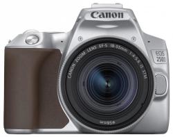 Canon EOS 250D DSLR + EF-S 18-55mm IS STM (3458C003AA)