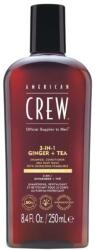 American Crew Soluție 3 în 1 pentru îngrijirea părului și a corpului - American Crew Official Supplier To Men 3 In 1 Ginger + Tea Shampoo Conditioner And Body Wash 250 ml