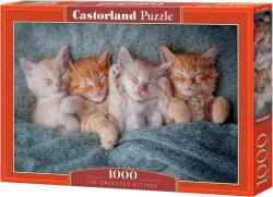 Castorland 1000 db-os puzzle - A legédesebb cicák (C-105144) (C-105144)