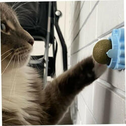  Jucarie interactiva pentru pisicute cu minge rotativa 360° din iarba Catnip pentru curatarea dintilor, 5.5 cm, Albastru (ESELL-D-WH-IF-MCT-CH-M871BL)