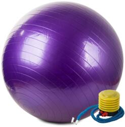 Verk Group Gimnasztikai rehabilitációs labda pumpával, 65cm, lila