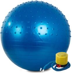 Verk Group Gimnasztikai fitness labda pumpával, 55cm, kék