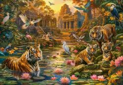 Castorland C-105199 - Tigrisek paradicsoma 1000 db-os puzzle