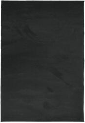vidaXL OVIEDO fekete rövid szálú szőnyeg 300 x 400 cm 375564