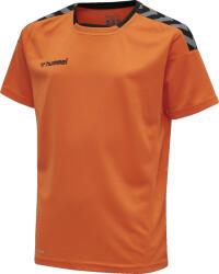 Hummel AUTHENTIC KIDS POLY JERSEY S/S Póló 204920-5006 Méret XL (165-176 cm)