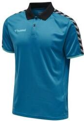 Hummel AUTHENTIC FUNCTIONAL POLO Póló ingek 205382-8745 Méret S - weplayvolleyball