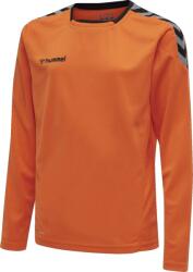 Hummel AUTHENTIC KIDS POLY JERSEY L/S Póló 204923-5006 Méret XXS (111-116 cm)