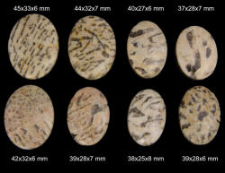  Cabochon din Feldspat - Oval - 25-35x16-34x4-7 mm - 1 Buc