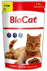  Biocat Pachet Plicuri Biocat cu Vita in sos, 24 x 100 g