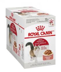 Royal Canin Pachet Royal Canin Instinctive in Gravy, 12 plicuri x 85 g