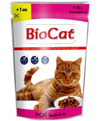 Biocat Plic Biocat cu Ficat in sos, 100 g