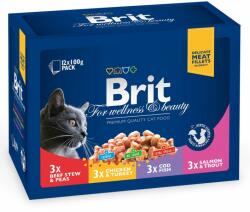 Brit Hrana umeda pentru Pisici Brit Premium Cat plic Family Variety 12 Plicuri x 100 gr