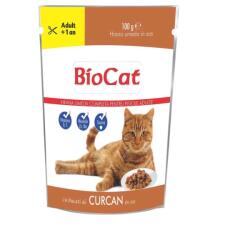  Biocat Pachet Plicuri Biocat cu Curcan in sos, 24 x 100 g