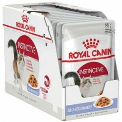 Royal Canin Pachet Royal Canin Instinctive in Jelly, 12 plicuri x 85 g