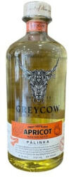 Grey Cow Spirits Kecskeméti Kajszibarack Pálinka 0, 7l, 41%