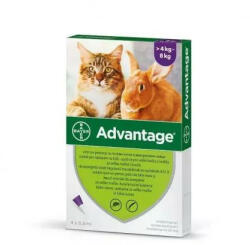  Advantage spot on macskák és nyulak részre 4-8kg ig (1 pipetta) nyitott dobozból