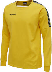Hummel Hanorac Hummel AUTHENTIC TRAINING SWEAT 205373-5001 Marime M