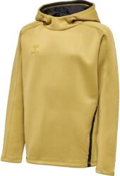 Hummel Hanorac cu gluga Hummel CIMA XK HOODIE KIDS 211577-9036 Marime M (147-152 cm) - weplayvolleyball