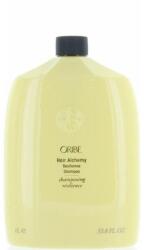 ORIBE Shampoo - Oribe Hair Alchemy Resilience Shampoo 250 ml