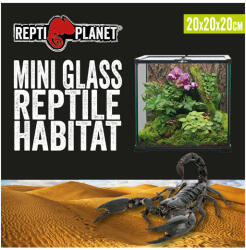 Repti Planet Mini Glass Reptile Habitat | Paludárium - 20 x 20 x 20 cm (60160)