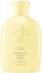 ORIBE Shampoo - Oribe Hair Alchemy Resilience Shampoo Travel Size 75 ml