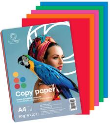 BLUERING A4 80 g 34277