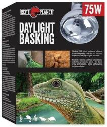 Repti Planet Daylight Basking Spot 75W