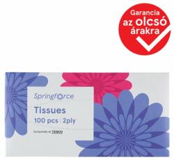 Tesco Springforce papír zsebkendő 2 rétegű 100 db